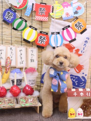 20240717モンチちゃん